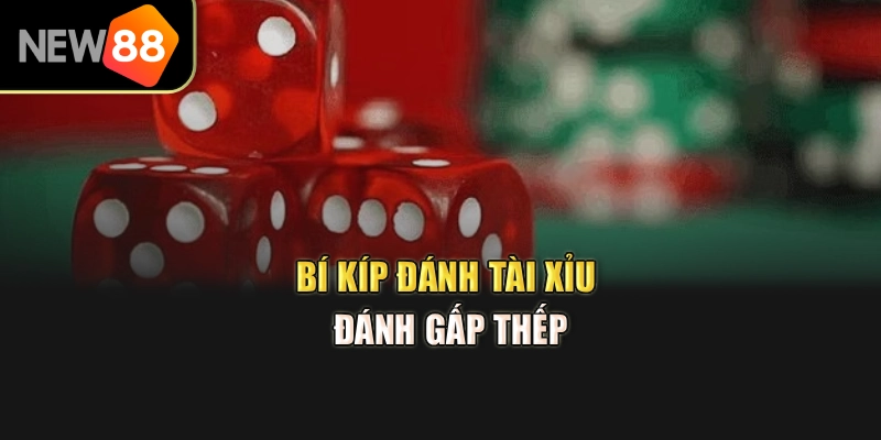 Bí kíp đánh tài xỉu đánh gấp thếp