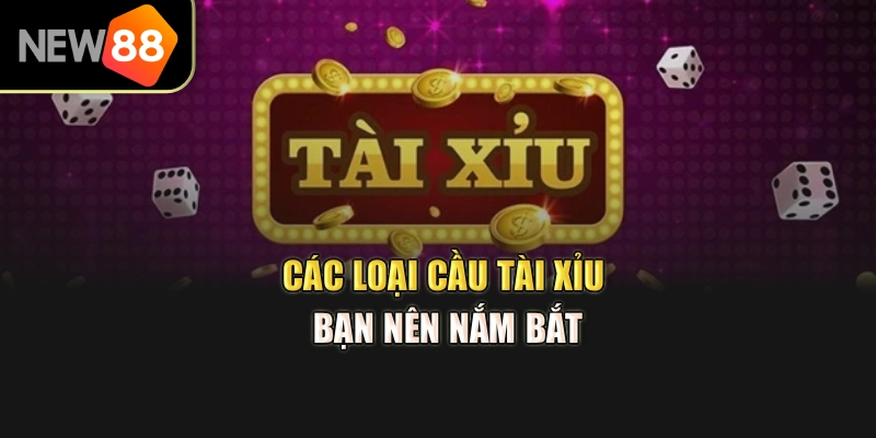 Các loại cầu tài xỉu bạn nên nắm bắt
