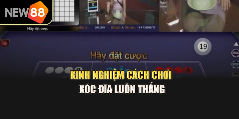 Kinh nghiệm cách chơi xóc đĩa luôn thắng