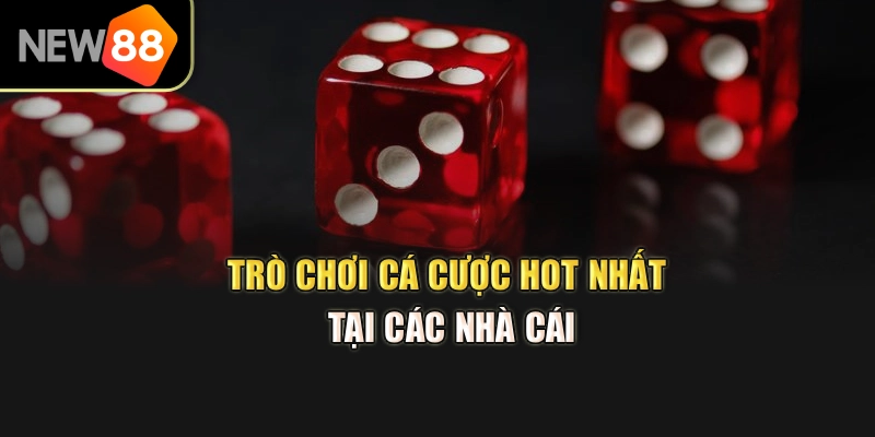 Trò chơi cá cược hot nhất tại các nhà cái